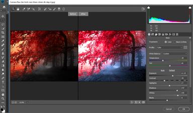 Hướng dẫn sử dụng Pen Tool Photoshop