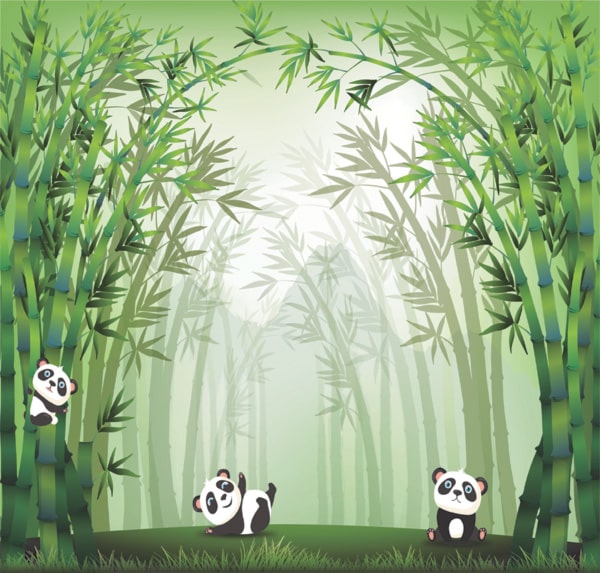 Học Corel ở đâu