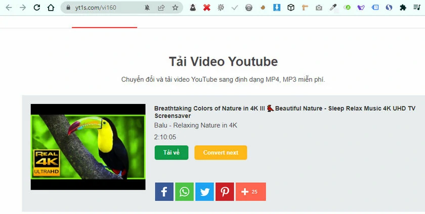 Hướng dẫn chi tiết cách tải video youtube