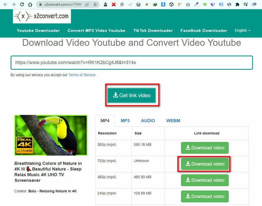 tải video youtube