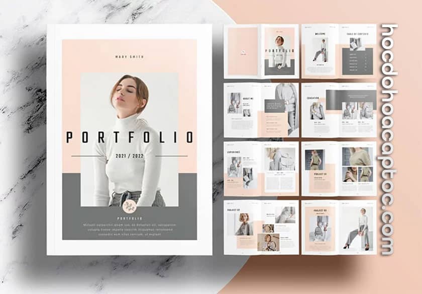Portfolio là gì