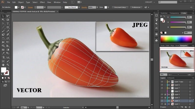 Học thiết kế đồ họa phần mềm illustrator
